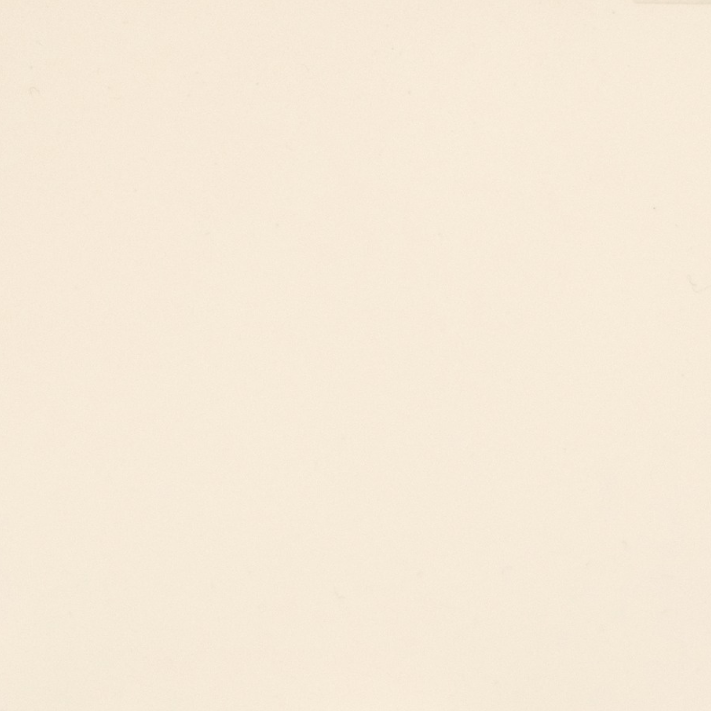 CLASSIC WHITE - FD006